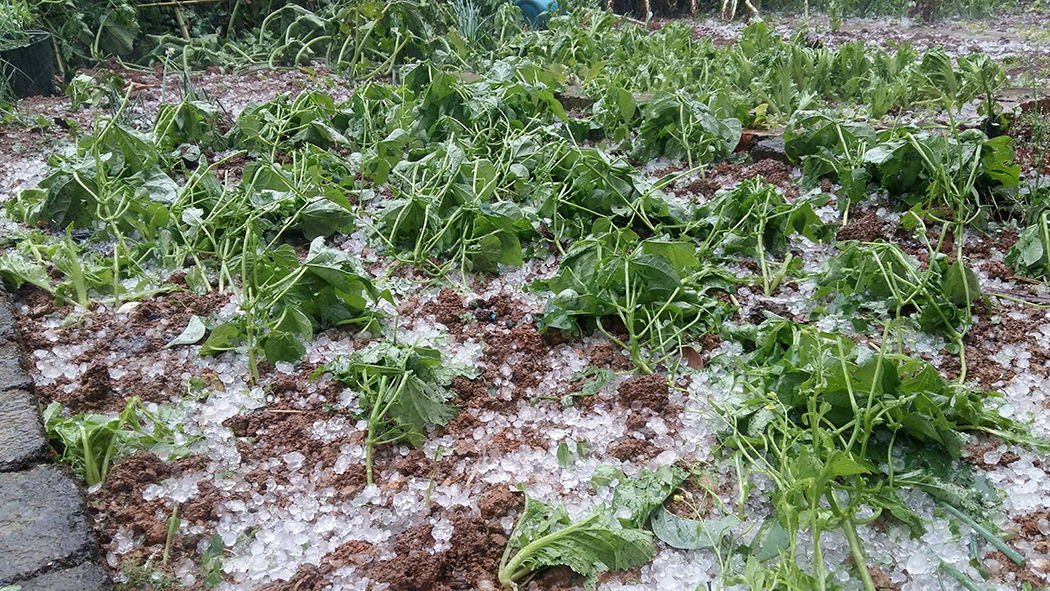 tại sao lại có hiện tượng mưa đá-2