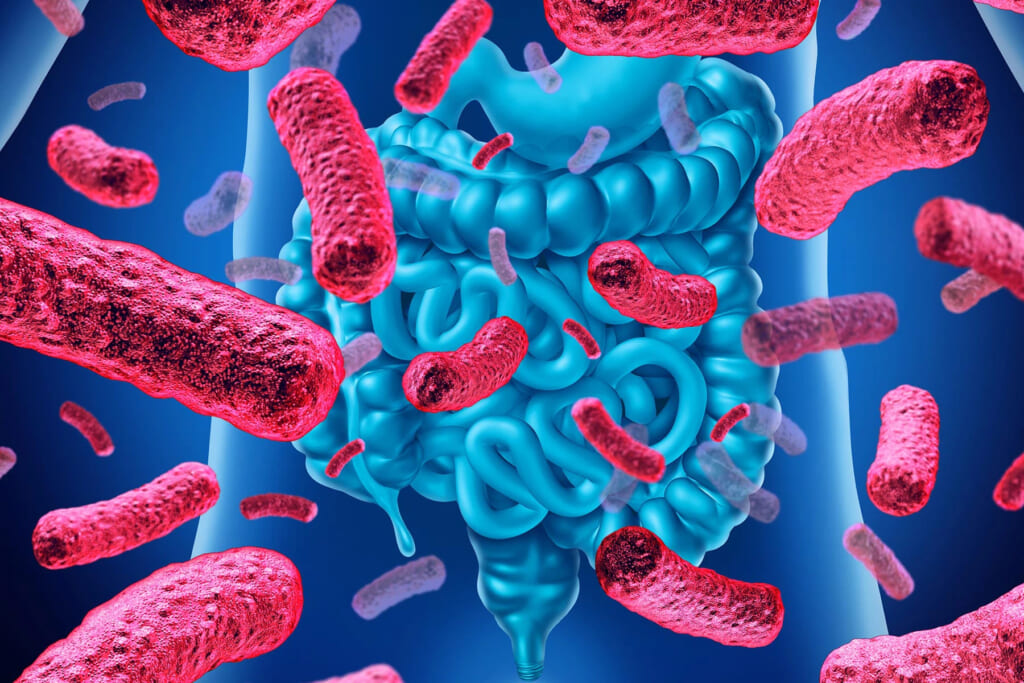 Phát hiện mới trong ruột con người có bao nhiêu loài virus sinh sống
