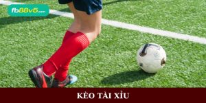 Kèo tài xỉu